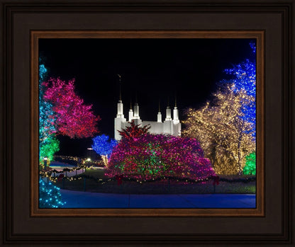 Washington DC Temple Colorful Christmas