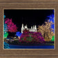 Washington DC Temple Colorful Christmas