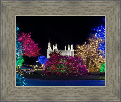 Washington DC Temple Colorful Christmas