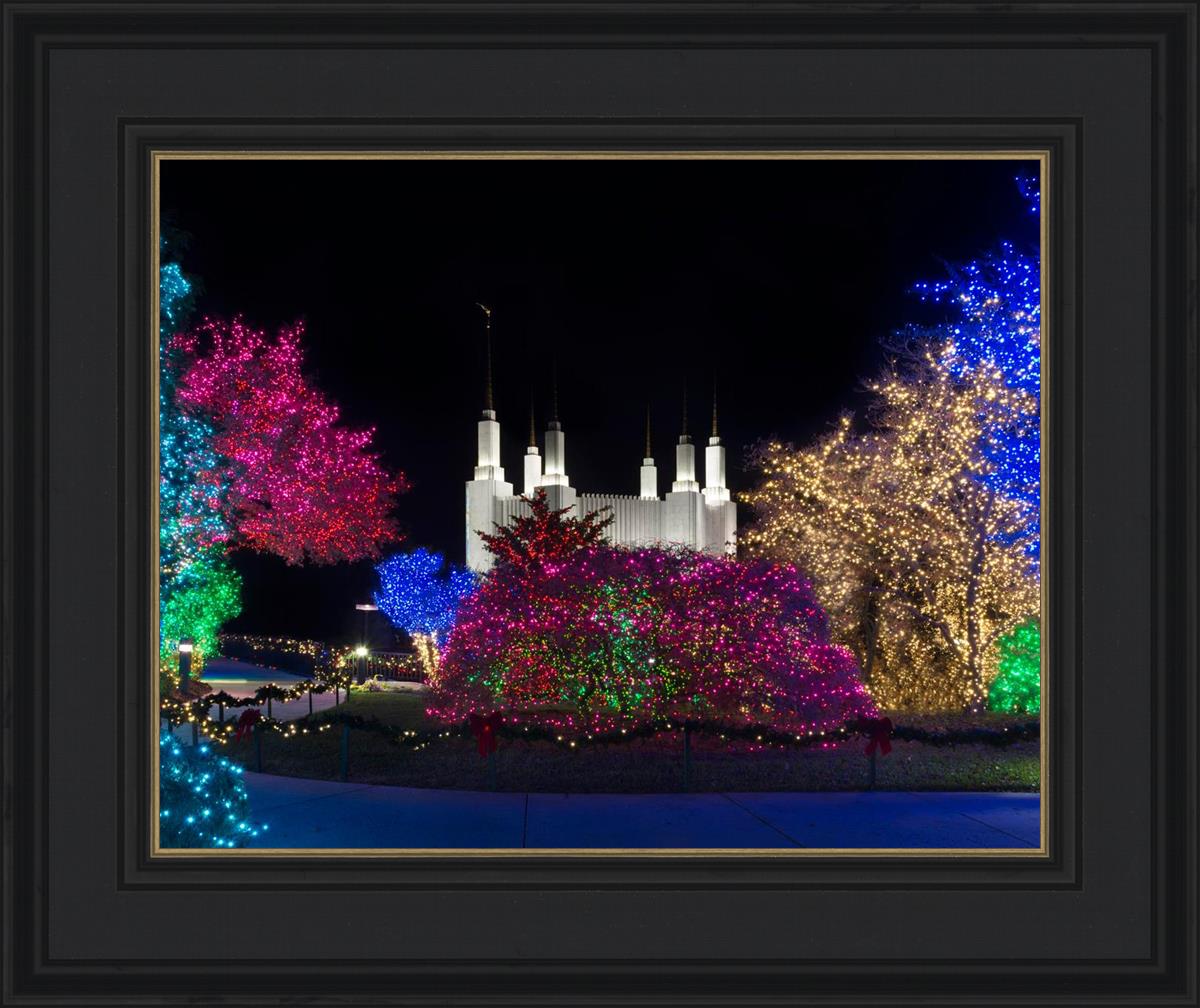Washington DC Temple Colorful Christmas