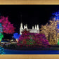 Washington DC Temple Colorful Christmas