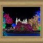 Washington DC Temple Colorful Christmas