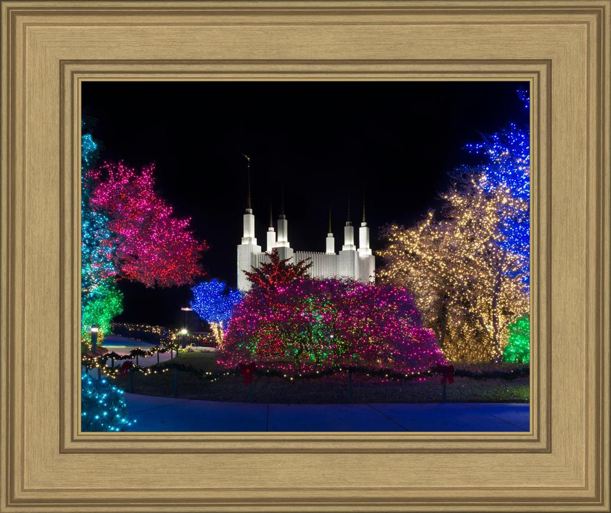 Washington DC Temple Colorful Christmas