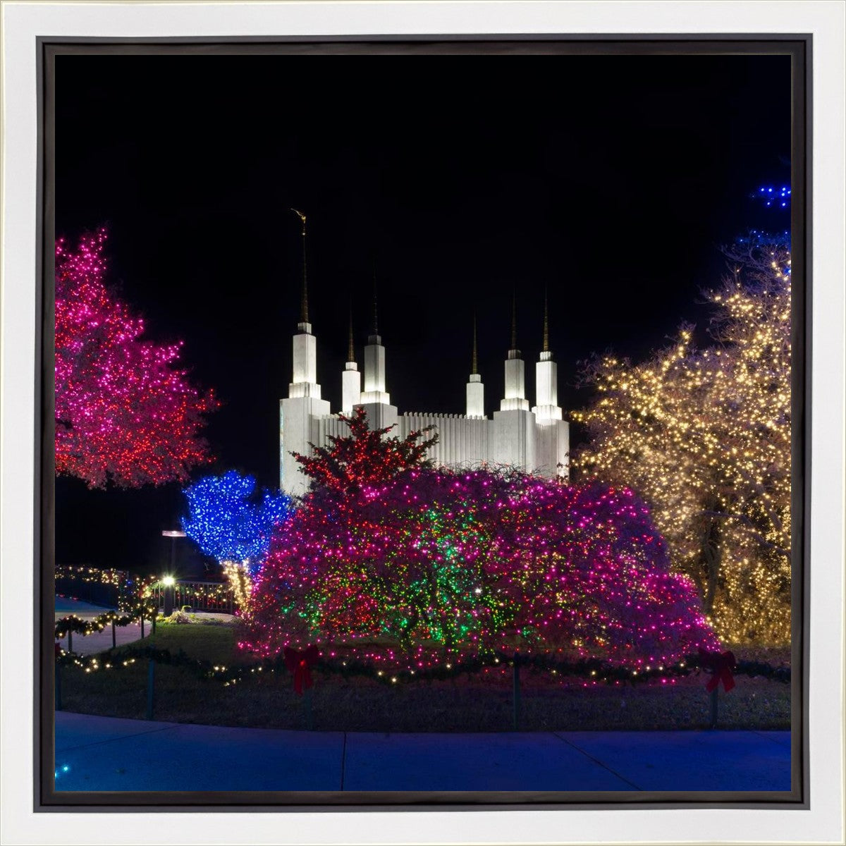 Washington DC Temple Colorful Christmas Gallery Wrap