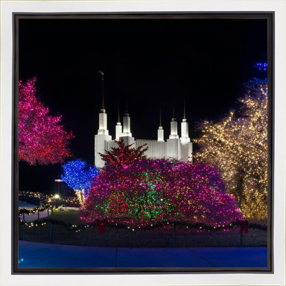 Washington DC Temple Colorful Christmas