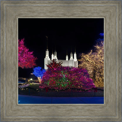 Washington DC Temple Colorful Christmas