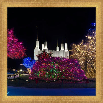 Washington DC Temple Colorful Christmas