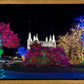 Washington DC Temple Colorful Christmas