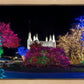 Washington DC Temple Colorful Christmas