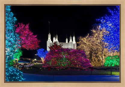 Washington DC Temple Colorful Christmas