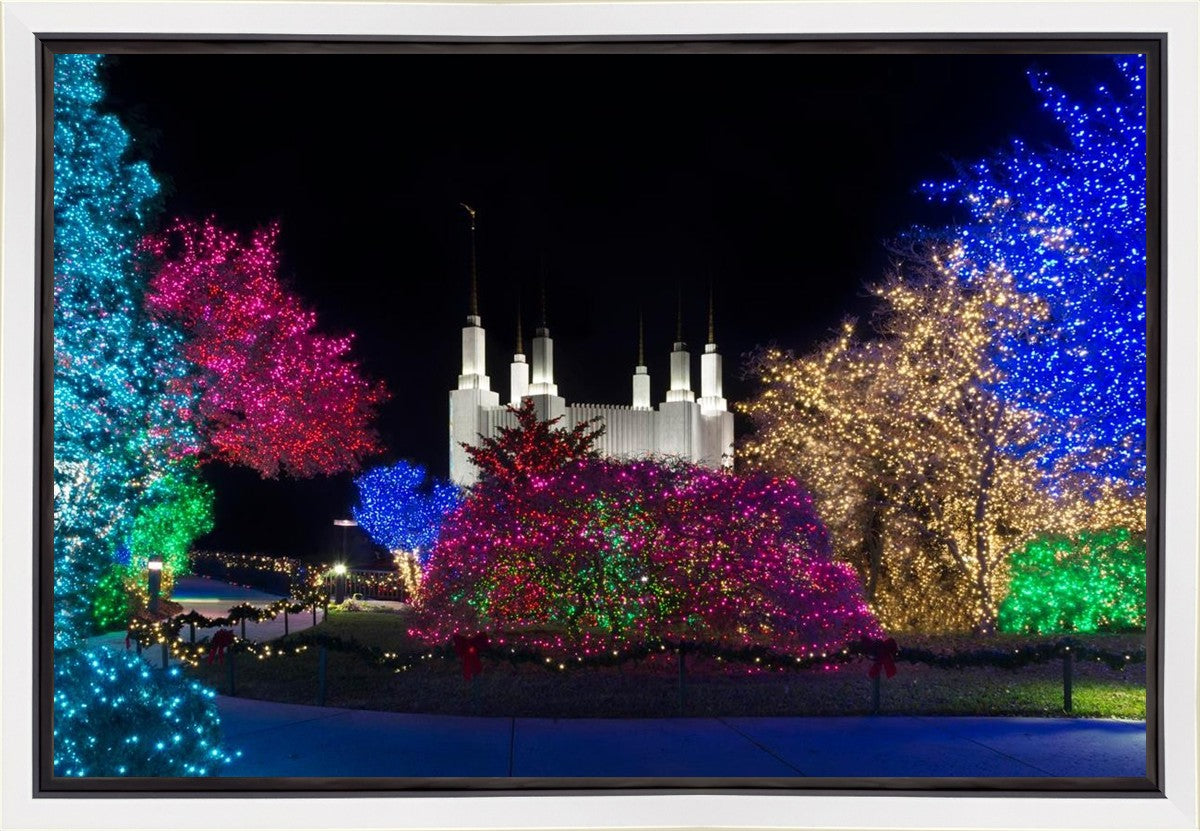 Washington DC Temple Colorful Christmas Gallery Wrap