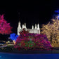 Washington DC Temple Colorful Christmas