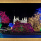 Washington DC Temple Colorful Christmas