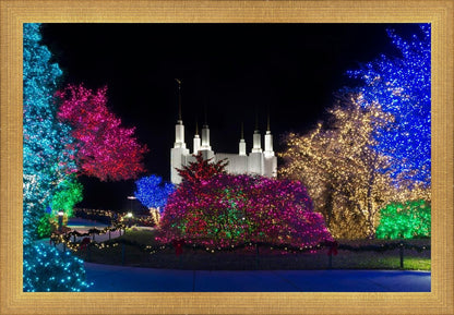 Washington DC Temple Colorful Christmas