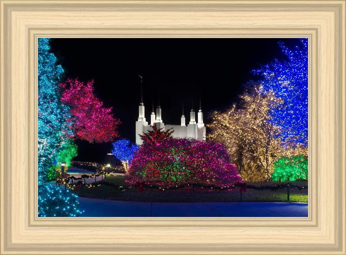 Washington DC Temple Colorful Christmas