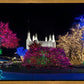 Washington DC Temple Colorful Christmas