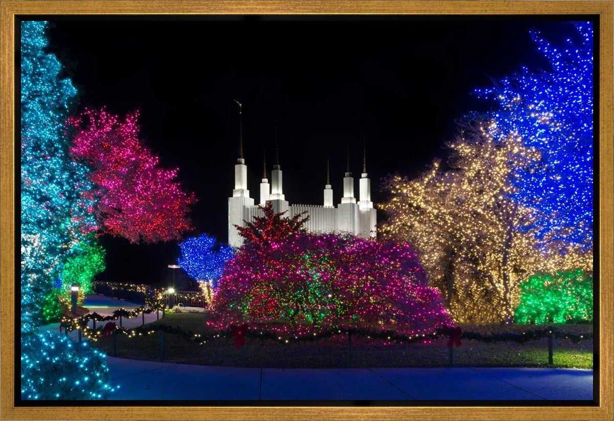 Washington DC Temple Colorful Christmas Gallery Wrap