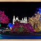Washington DC Temple Colorful Christmas