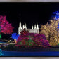Washington DC Temple Colorful Christmas