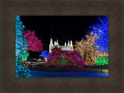 Washington DC Temple Colorful Christmas