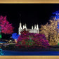 Washington DC Temple Colorful Christmas