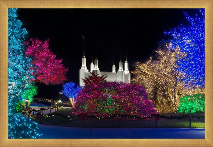 Washington DC Temple Colorful Christmas