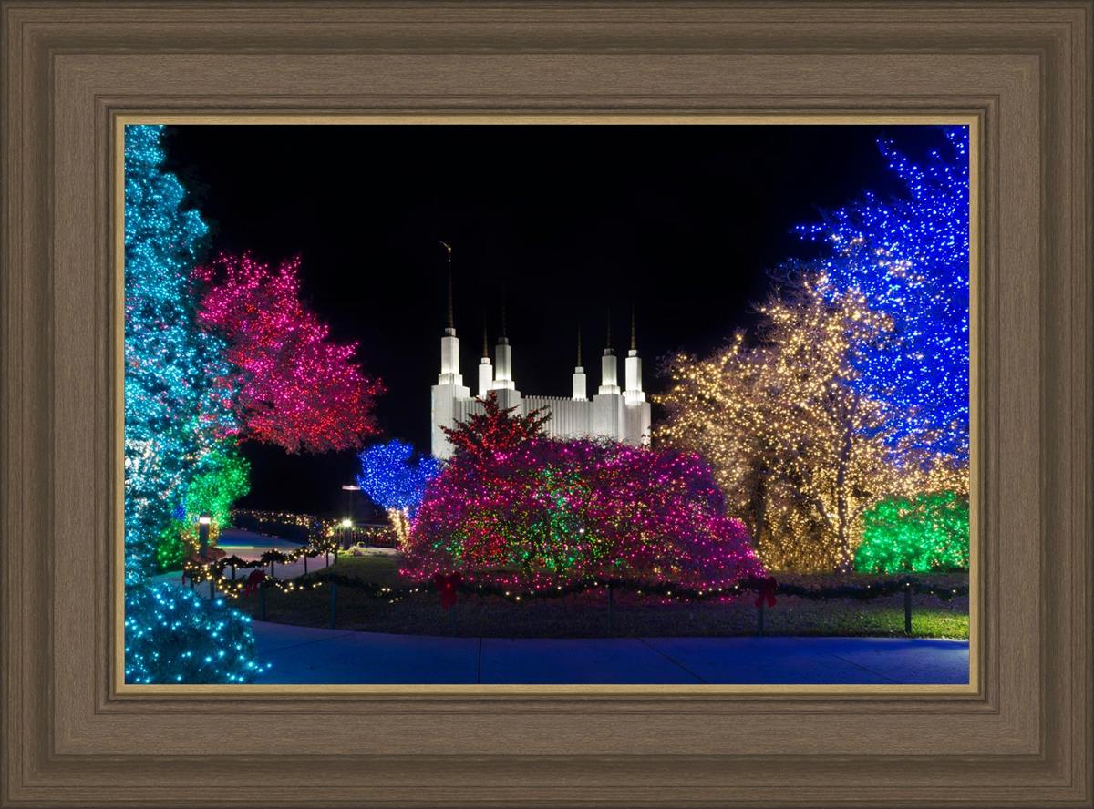 Washington DC Temple Colorful Christmas