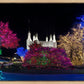 Washington DC Temple Colorful Christmas