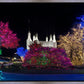 Washington DC Temple Colorful Christmas