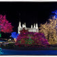 Washington DC Temple Colorful Christmas