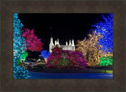 Washington DC Temple Colorful Christmas