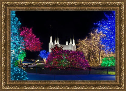 Washington DC Temple Colorful Christmas