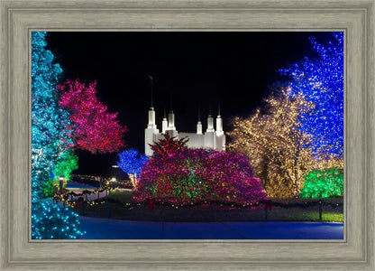 Washington DC Temple Colorful Christmas