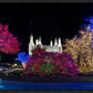 Washington DC Temple Colorful Christmas