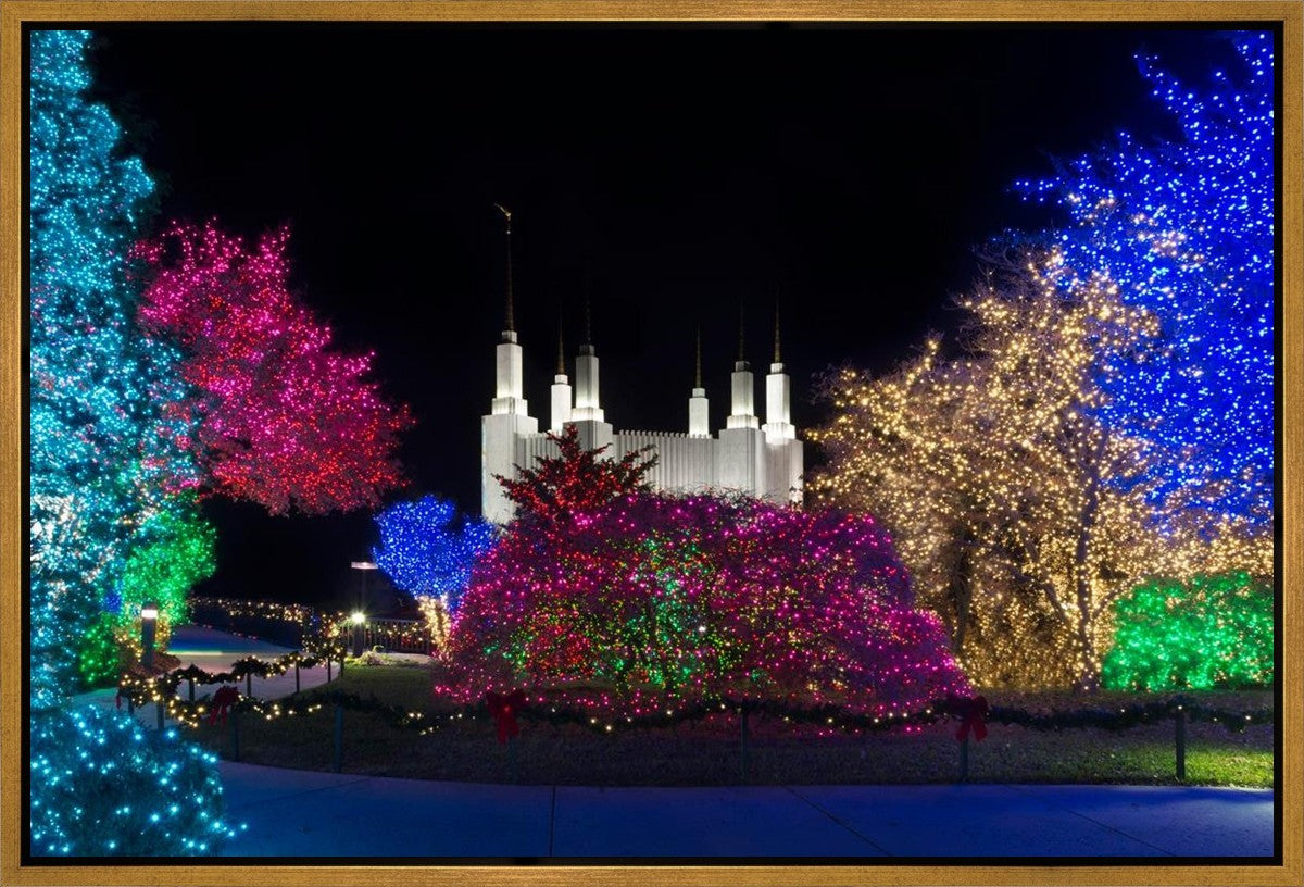 Washington DC Temple Colorful Christmas Gallery Wrap