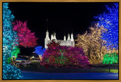 Washington DC Temple Colorful Christmas