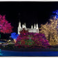 Washington DC Temple Colorful Christmas