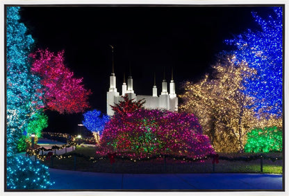 Washington DC Temple Colorful Christmas