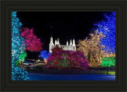 Washington DC Temple Colorful Christmas