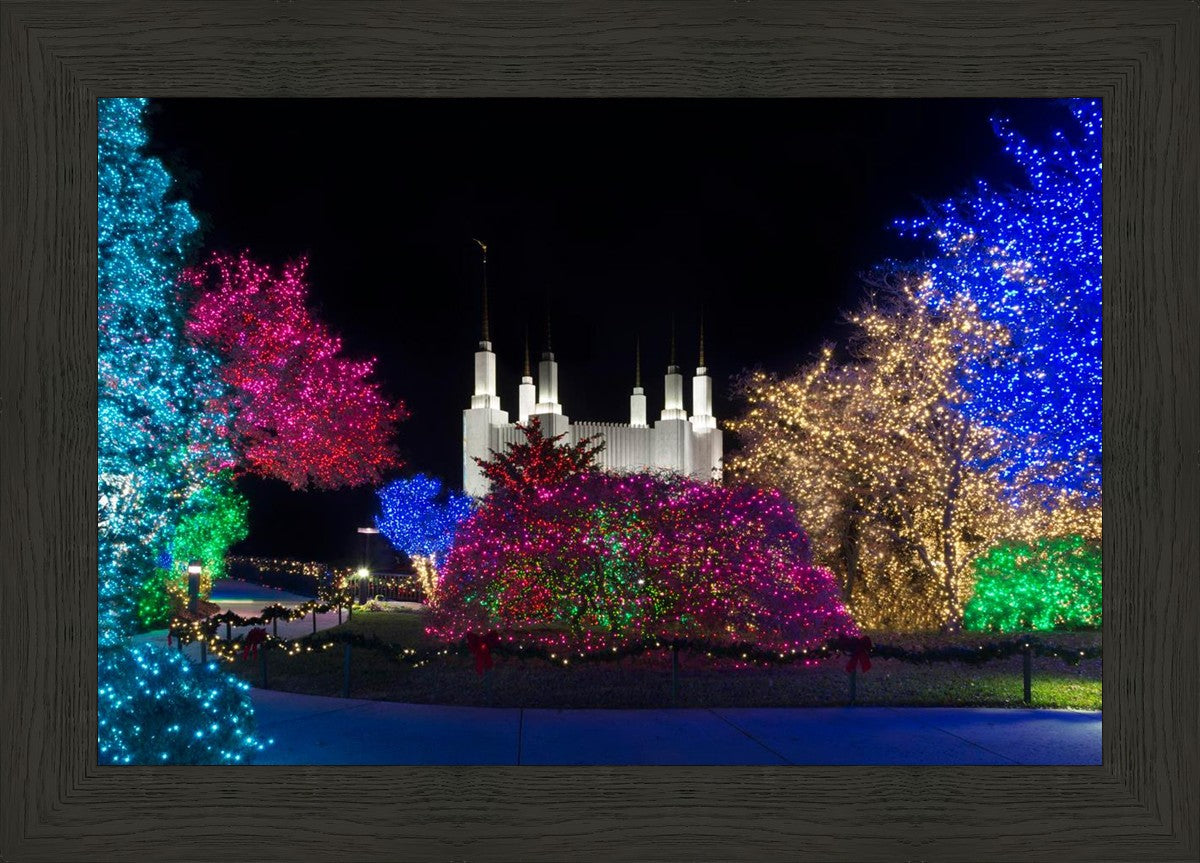 Washington DC Temple Colorful Christmas