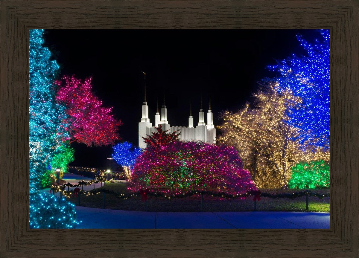 Washington DC Temple Colorful Christmas