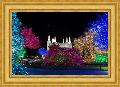 Washington DC Temple Colorful Christmas