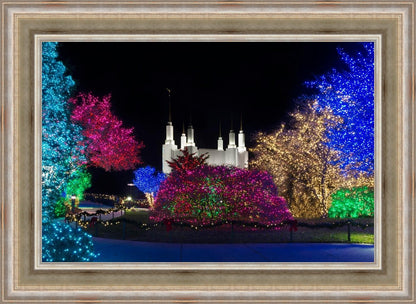 Washington DC Temple Colorful Christmas
