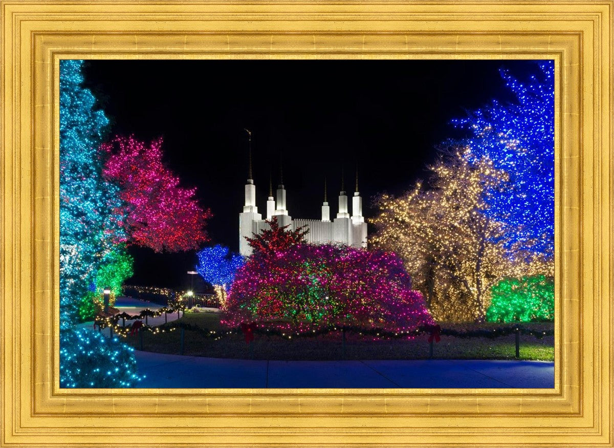 Washington DC Temple Colorful Christmas