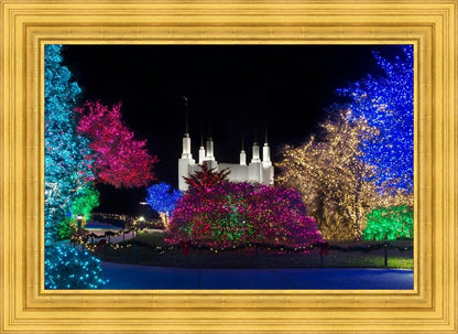 Washington DC Temple Colorful Christmas