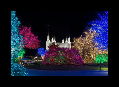 Washington DC Temple Colorful Christmas