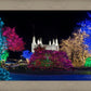 Washington DC Temple Colorful Christmas