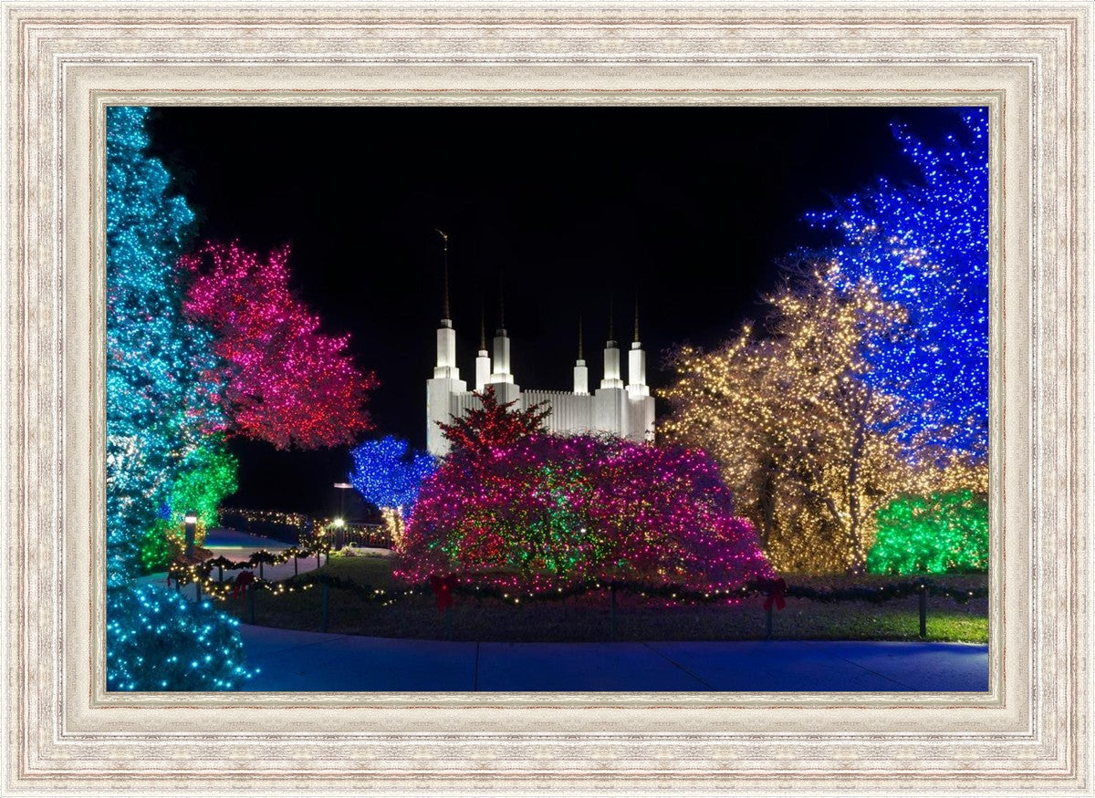 Washington DC Temple Colorful Christmas
