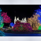 Washington DC Temple Colorful Christmas