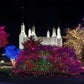 Washington DC Temple Colorful Christmas